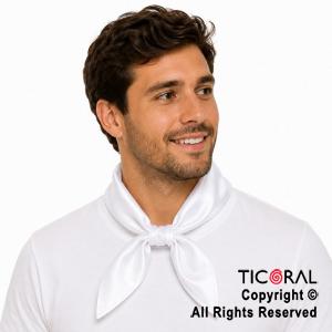 PA�UELO BLANCO PATRIO
