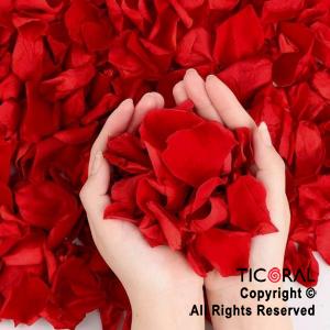 LANZAPAPELITOS 40 CM PETALOS ROJOS