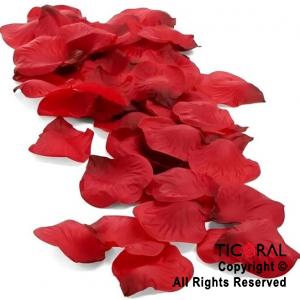 LANZAPAPELITOS 40 CM PETALOS ROJOS