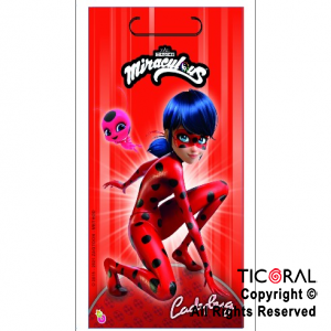 Cartel Feliz Cumpleaños Goma Eva LADYBUG MIRACULOUS