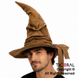 SOMBRERO DE MAGO SELECCIONADOR HARRY POTTER X 1