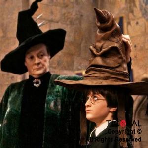 SOMBRERO DE MAGO SELECCIONADOR HARRY POTTER X 1