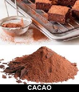 Cacao 979