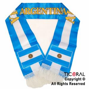 BUFANDA ARGENTINA x 1