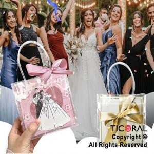 BOLSITAS PVC TRANSPARENTE CON MANIJAS Y BROCHE 15X13X7 CM (PACK X 10 UNIDADES)