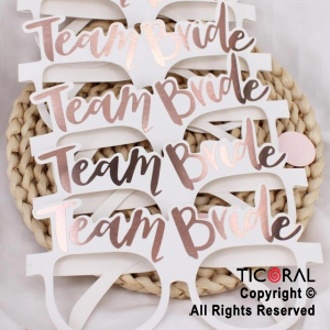 ANTEOJO TEAM BRIDE DE CARTON X 10