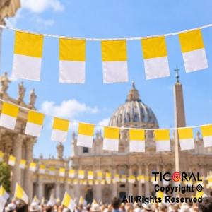 BANDERIN PLASTICO BANDERA PAPAL COMUNION X 2 MTS