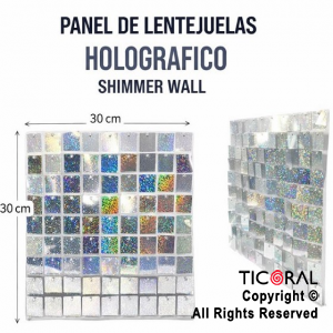 PANEL DE LENTEJUELAS HOLOGRAFICO SHIMMER WALL PLATA 30CM X 30CM x 1